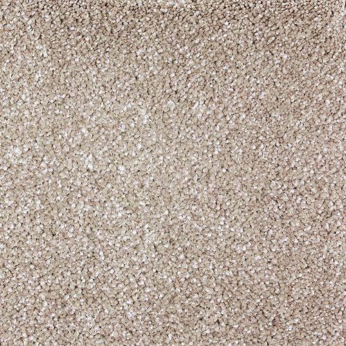 Luxurious Attraction