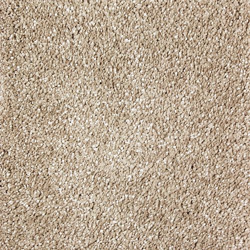 Luxurious Attraction