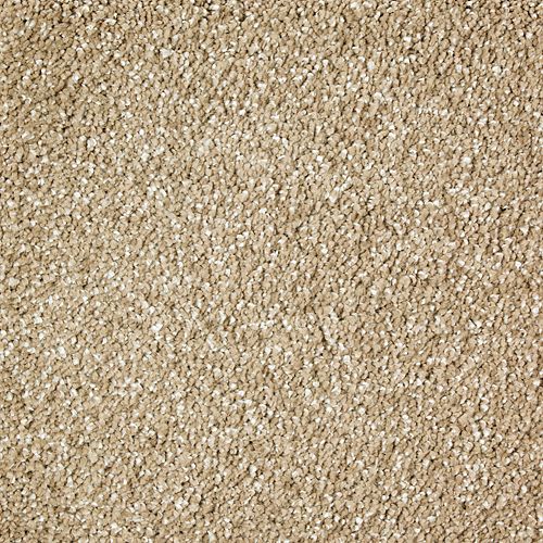 Luxurious Attraction