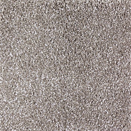 Luxurious Attraction