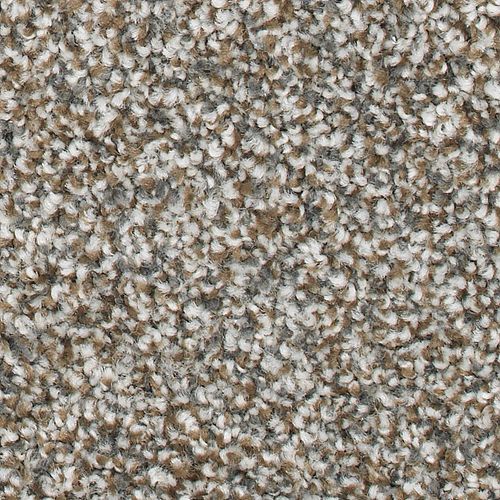 Charismatic Approach