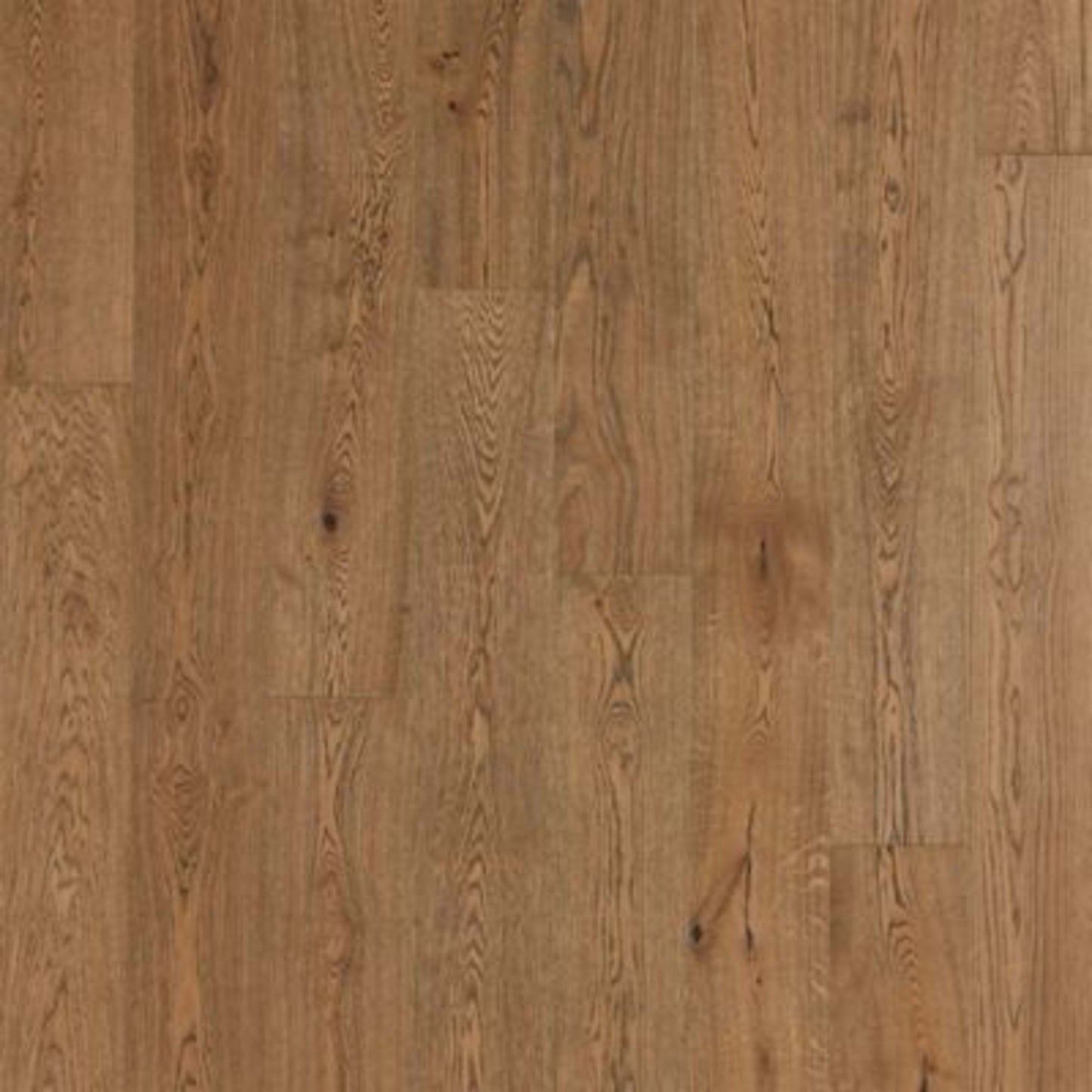 Soho Modesto in Oatmeal Oak