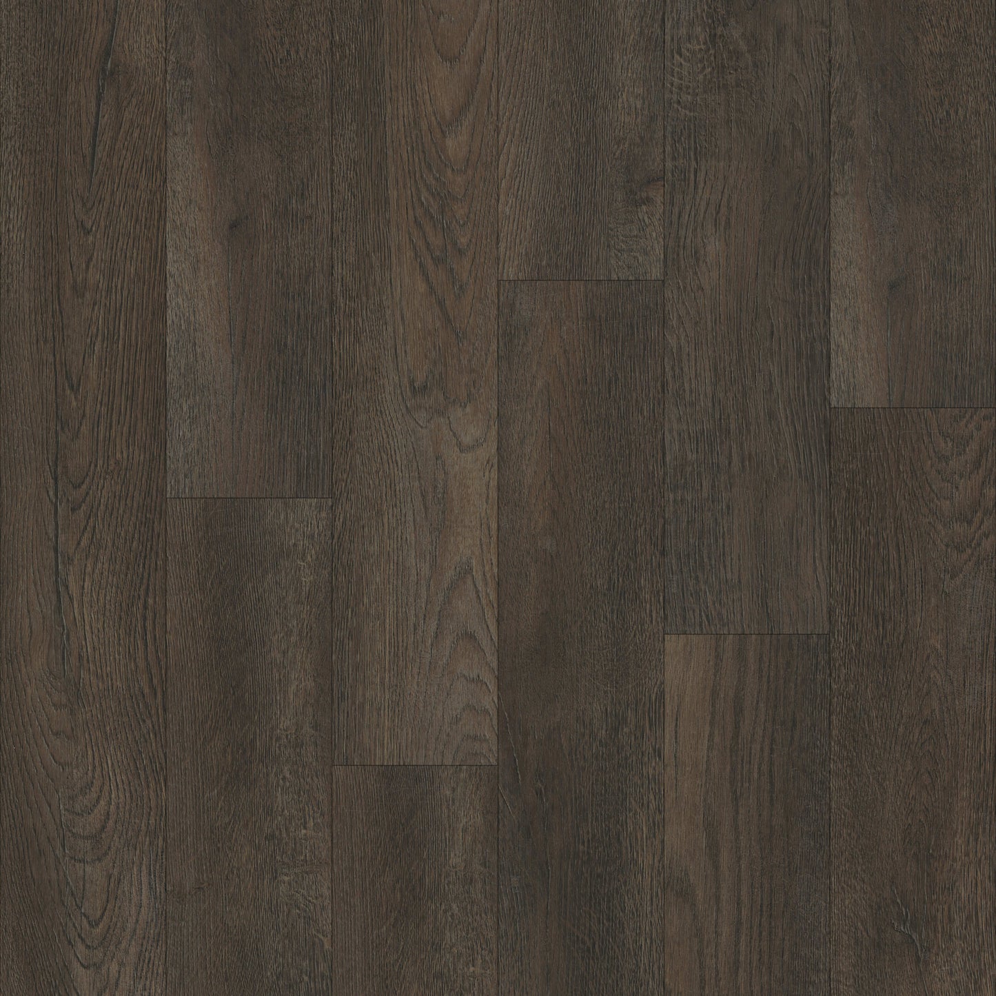 5 Series in Blackjack Oak