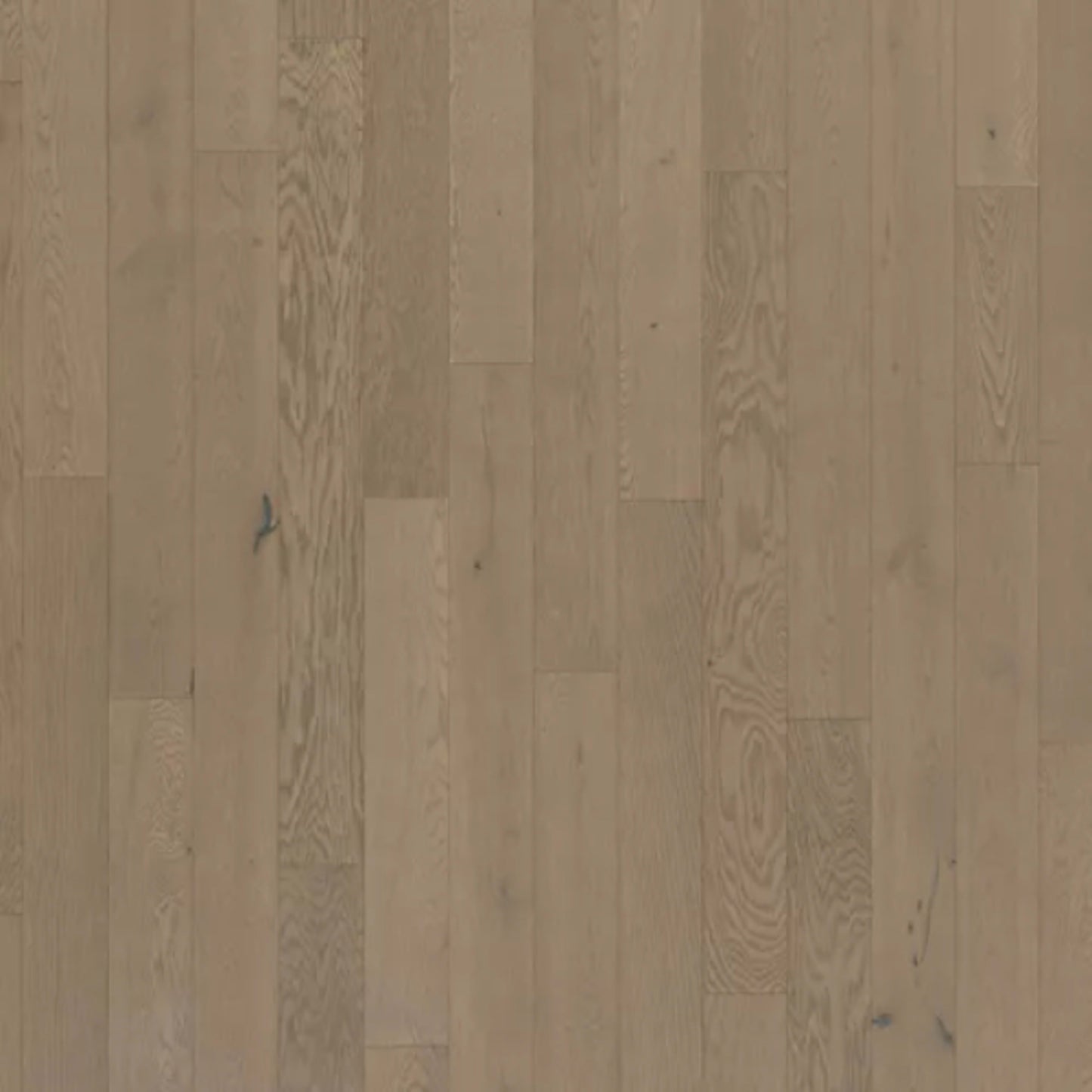 Camden Park in Park Avenue