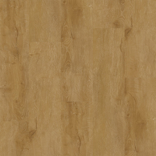 PureGrain Endure - Legendary in Visionary