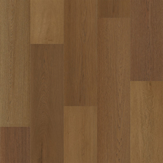 PureGrain Endure - Preference in Ghost Ranch