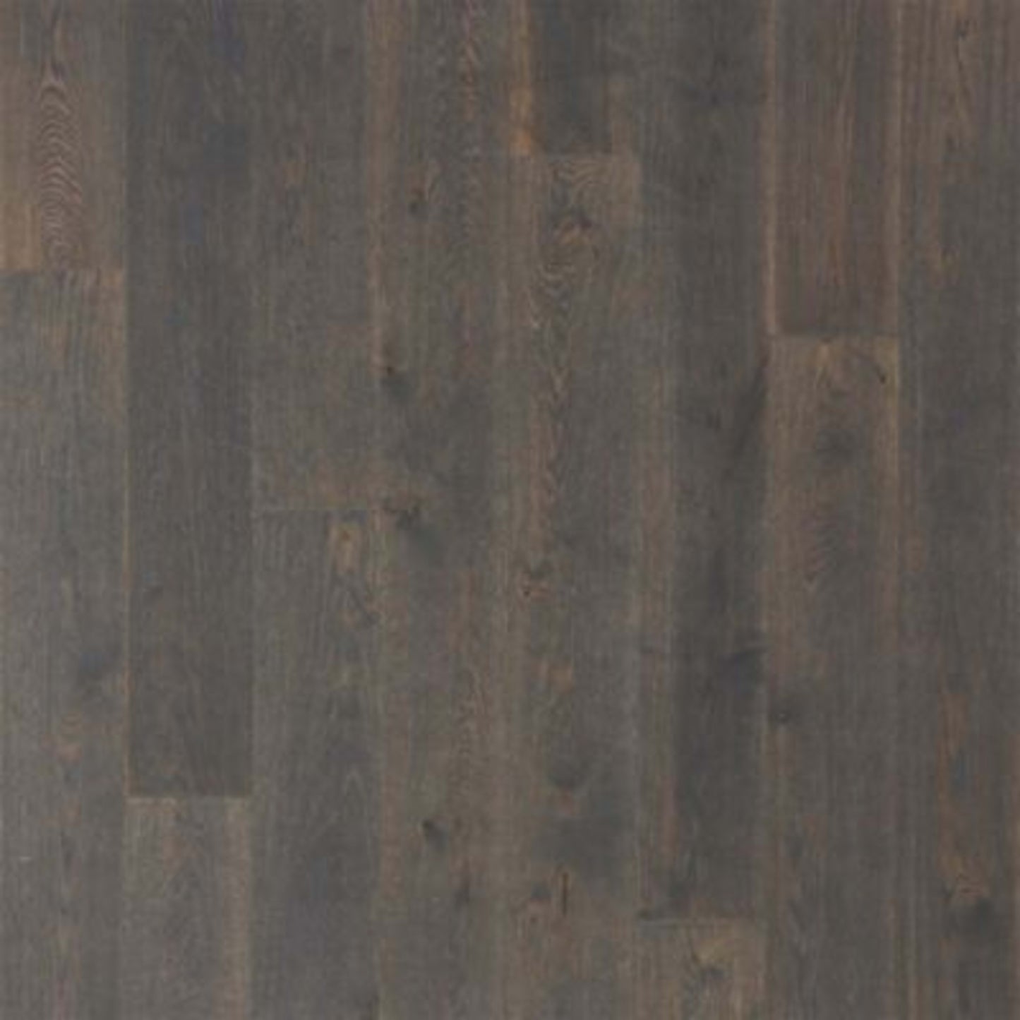 Soho Modesto in Roadside Oak