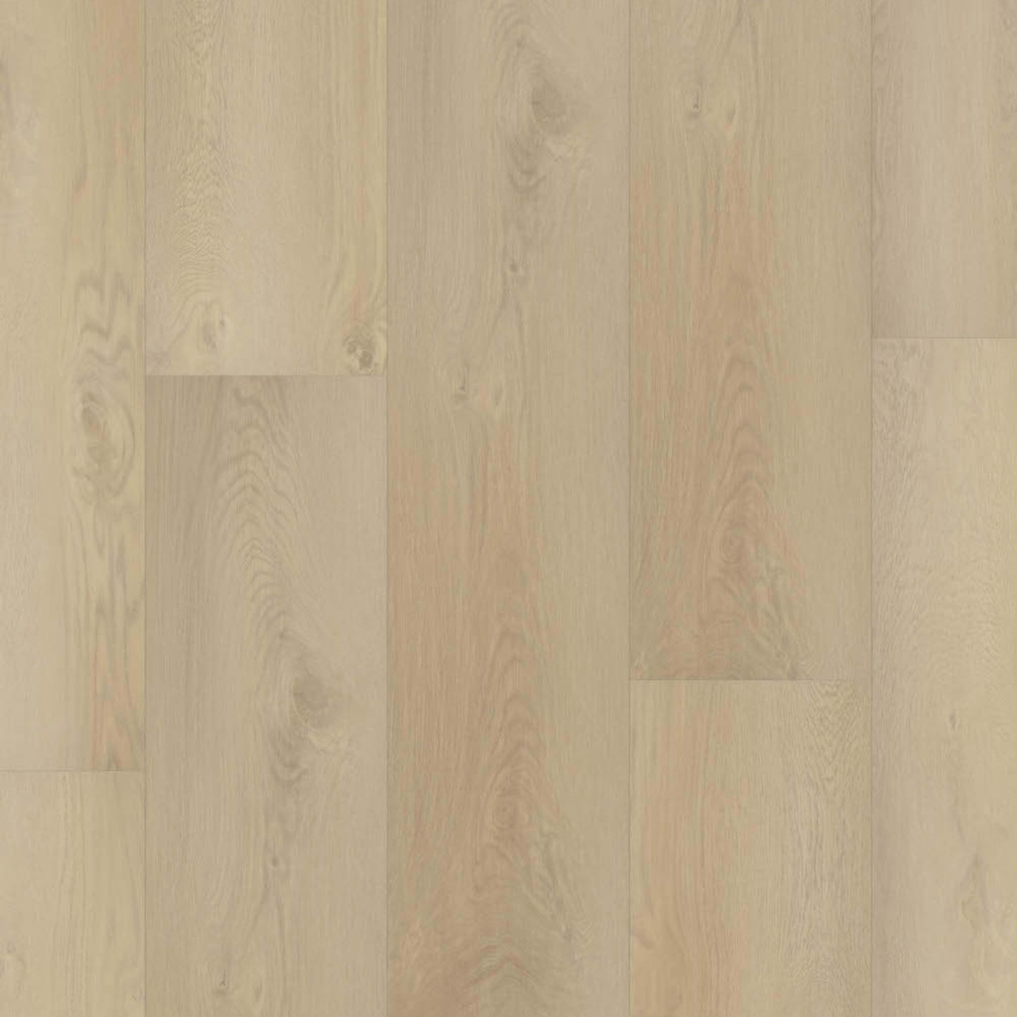 Prime XXL Collection in Salerno Oak