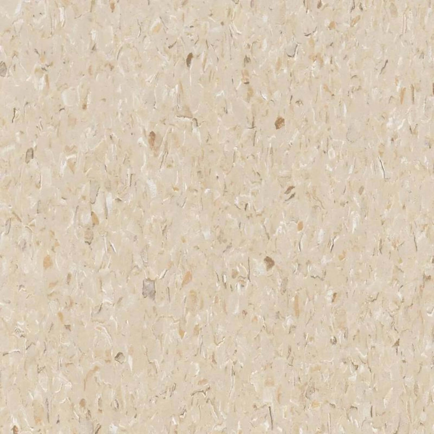 VCT II in True Beige