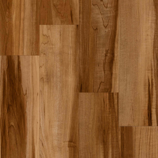 Progen in Rock Maple Medio