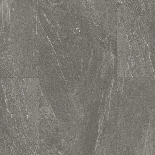 Progen in Varenna Stone Fossil