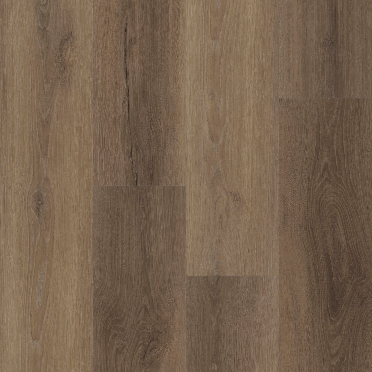 TX101 in Yosemite Oak