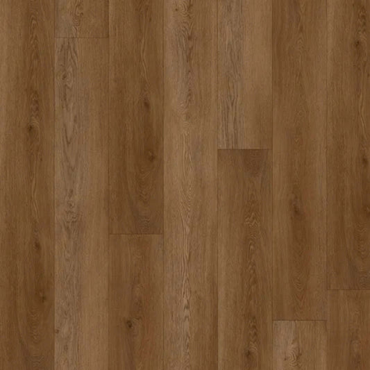 Boundless in Saddle Oak