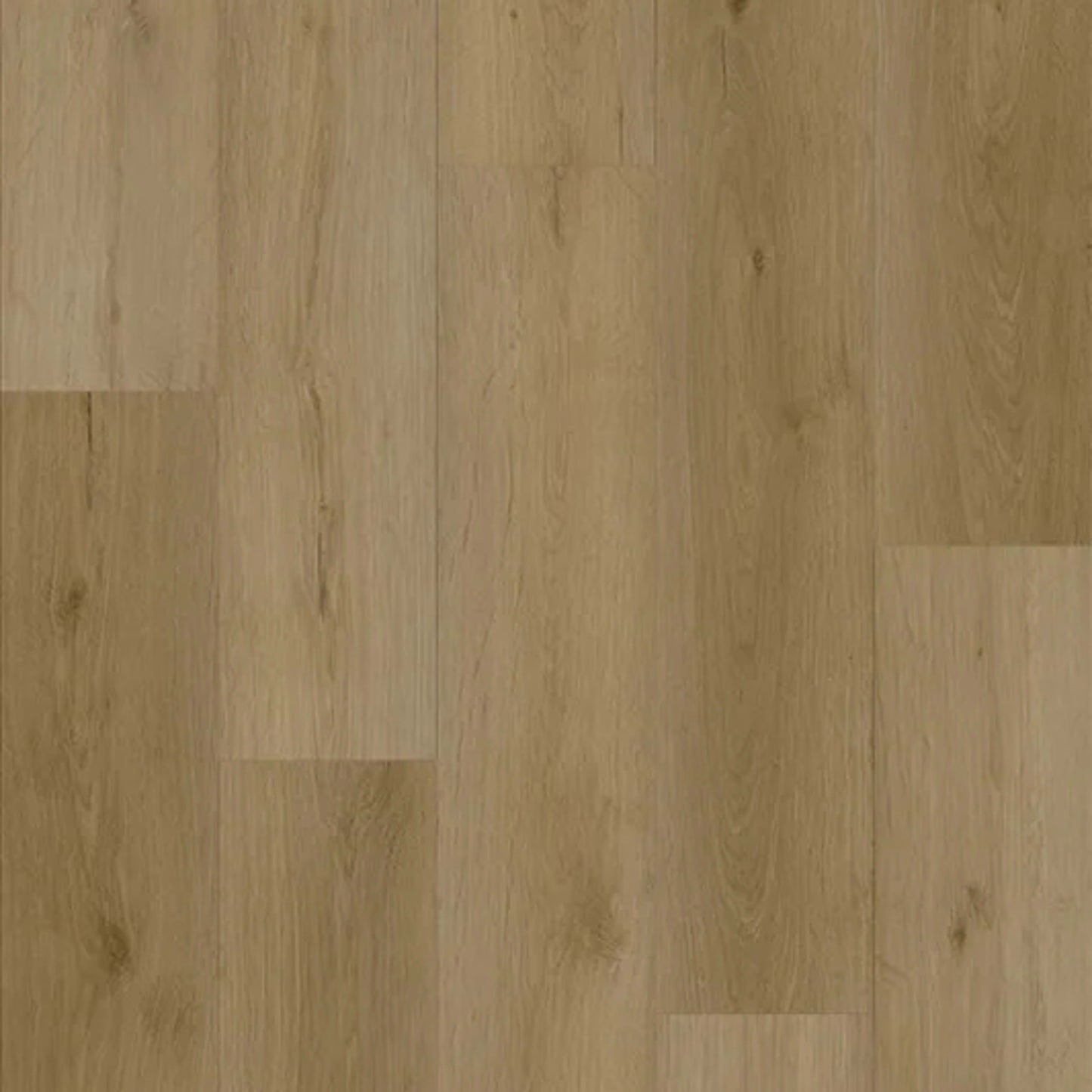 Boundless in Soulful Oak