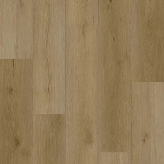 Boundless in Soulful Oak
