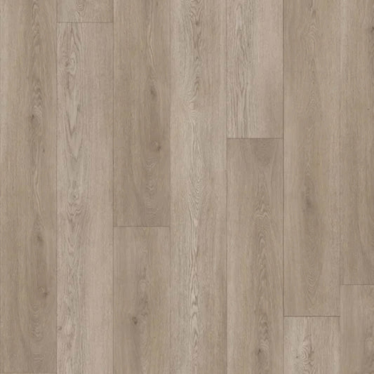 Boundless in Urban Oak