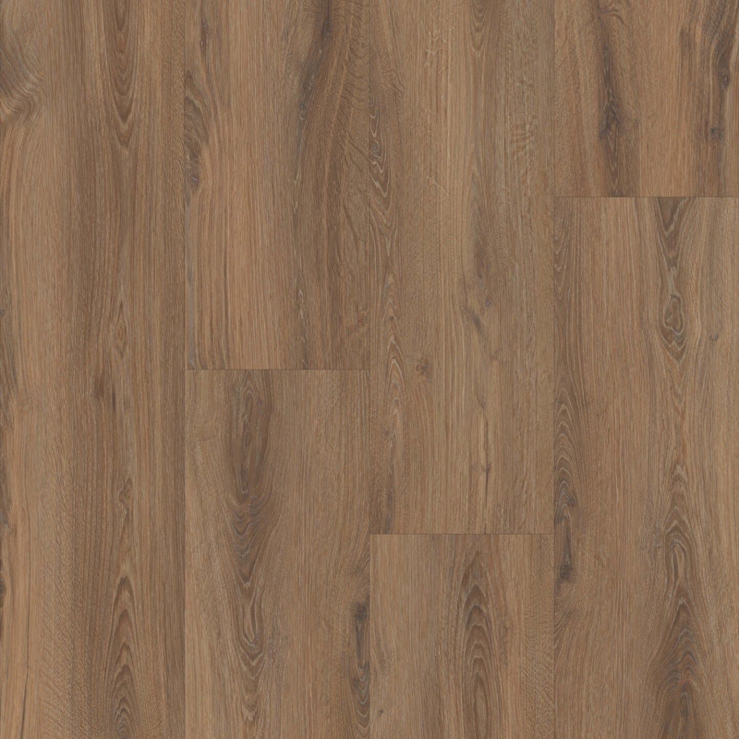 Prime XL 12 Collection in Burnaby Oak