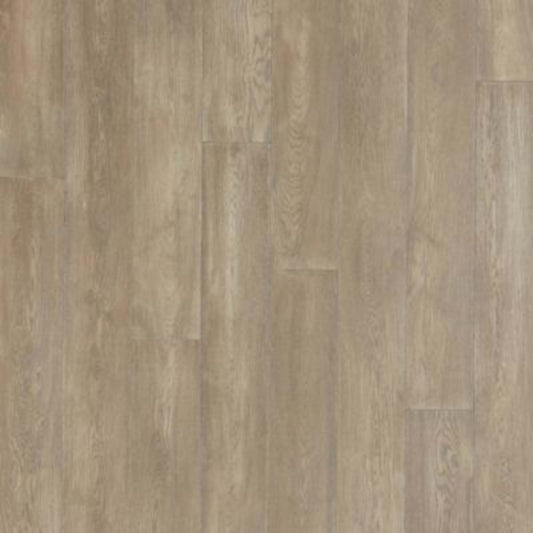 Balboa Strip in Coastal Fog Oak