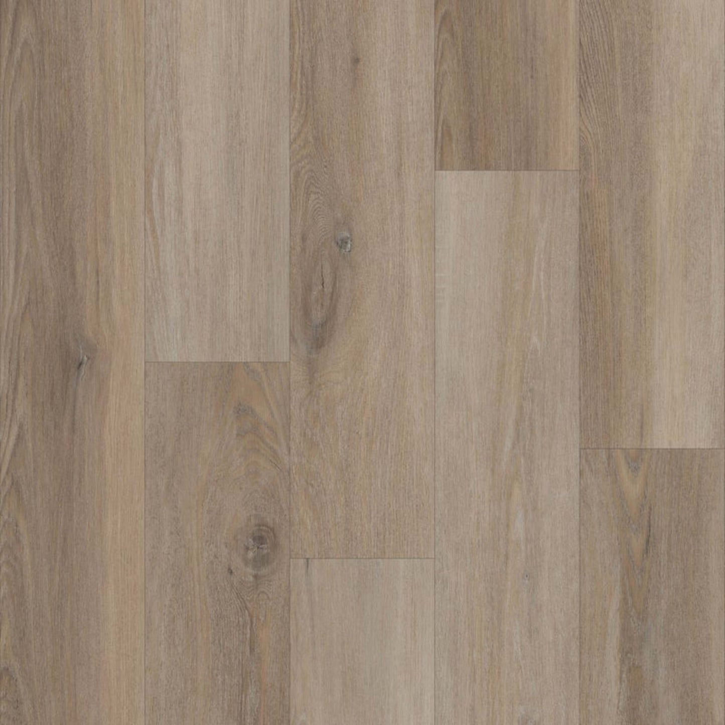 Prime Collection in Denali Oak