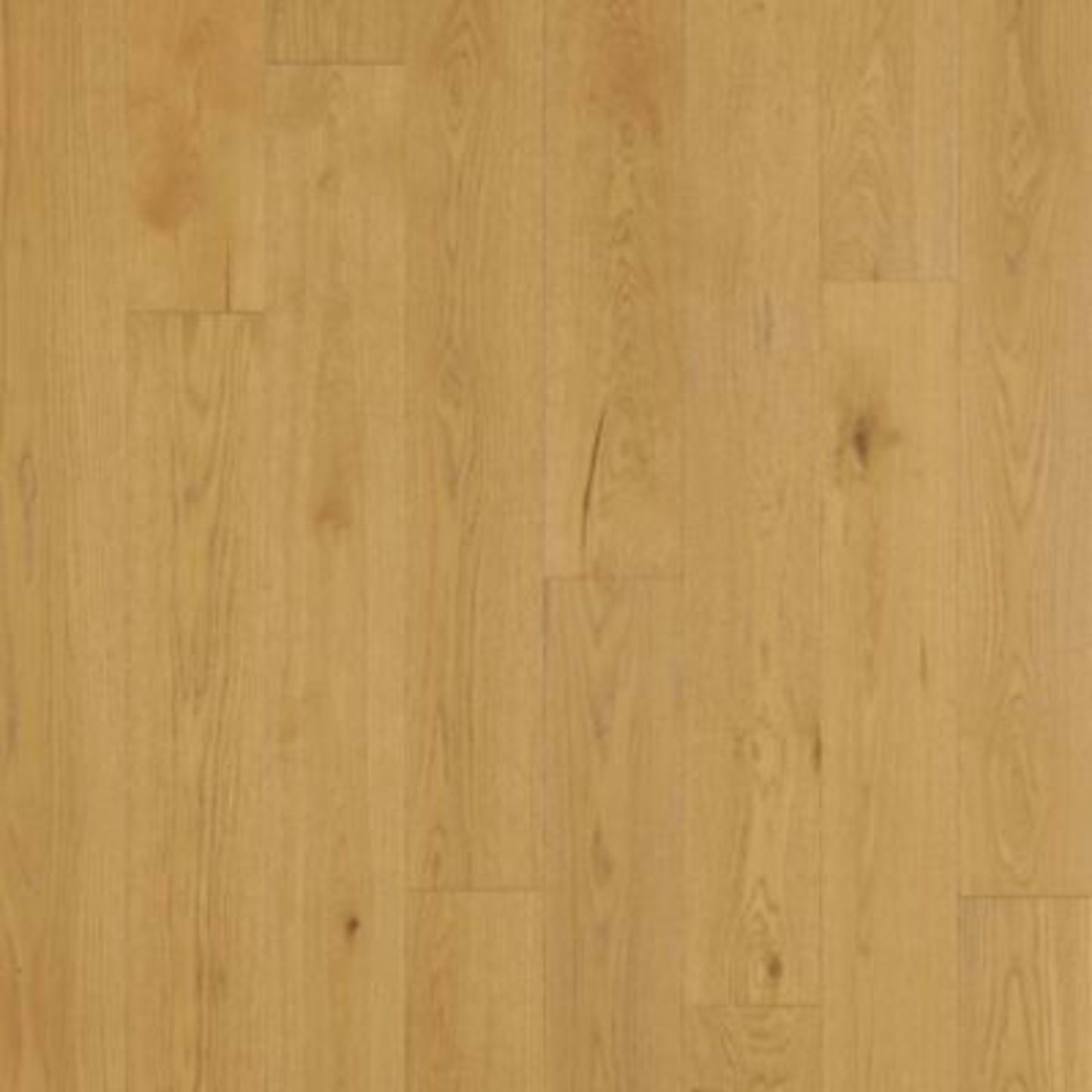 Balboa Strip in Naturale Oak