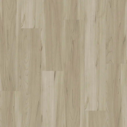 Panoramic in Sugar Maple