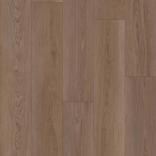 Panoramic in Tawny Oak