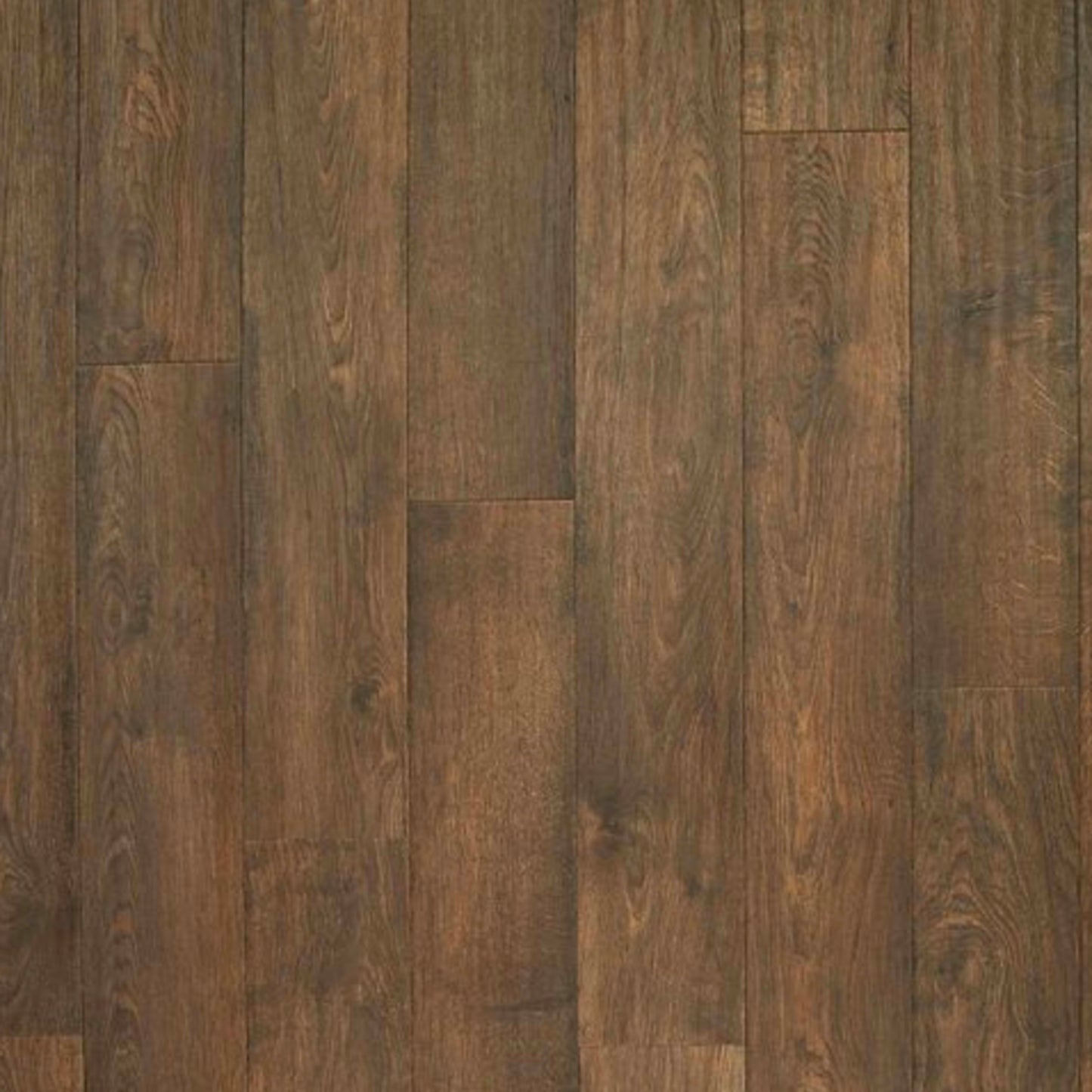 Western Row in Tilled Oak