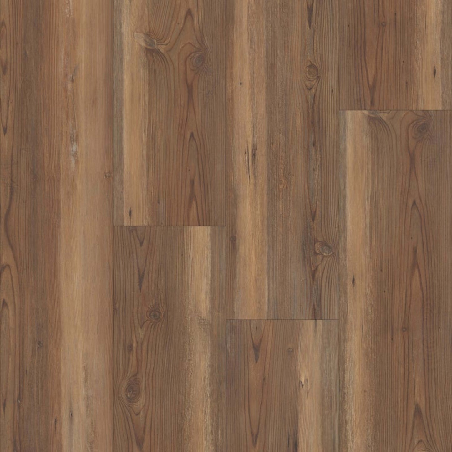 Prime Collection in Toccoa Pine