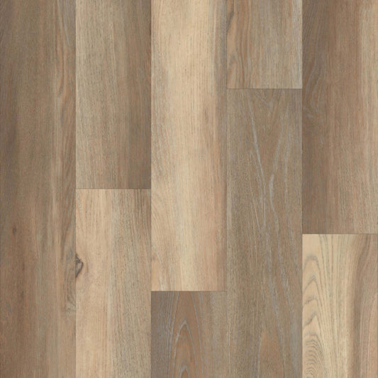 Prime Collection in Vista Oak